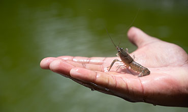 Agriculture & Fishing