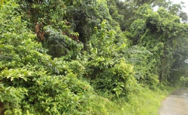 Residential Property At Picard