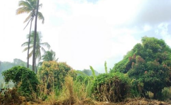 Agricultural/Residential Property At Woodford Hill