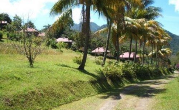 Commercial/Residential Property At Gommier Stewart Estate